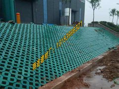 常用的大香蕉啪啪视频種類有哪些