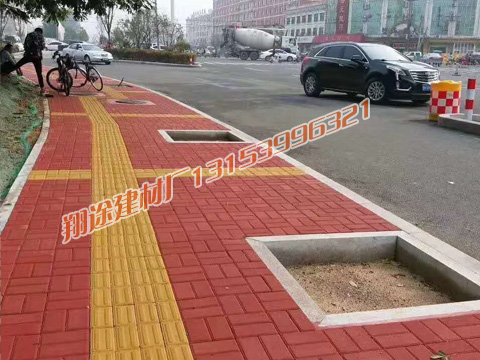 荷蘭磚路麵施工